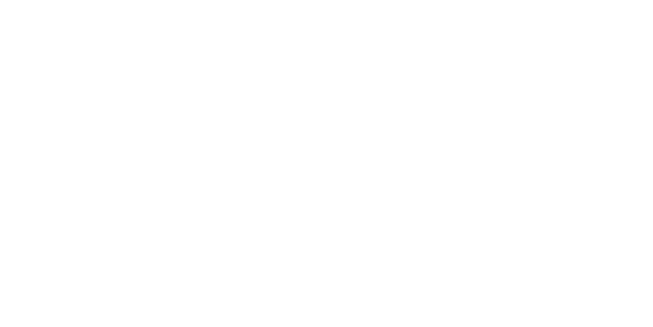 Bliss Wellness